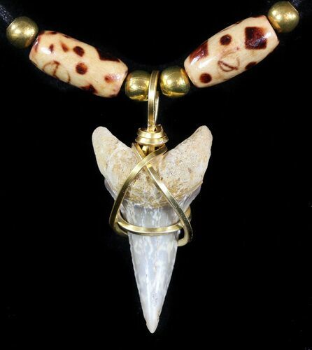 Fossil Mako Shark Tooth Necklace - Bakersfield, CA #47557